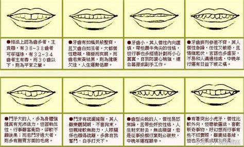 王字部 牙齒形狀面相